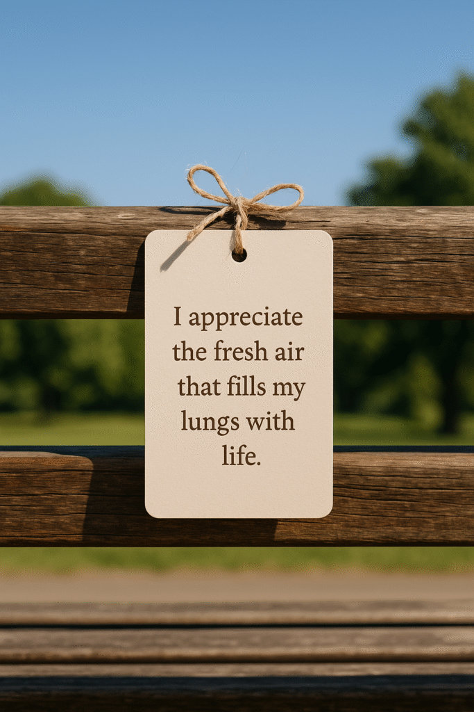 I appreciate the fresh air that fills my lungs with life.