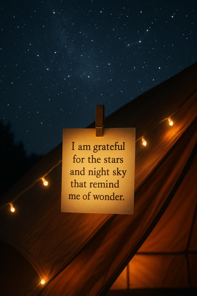I am grateful for the stars and night sky that remind me of wonder.